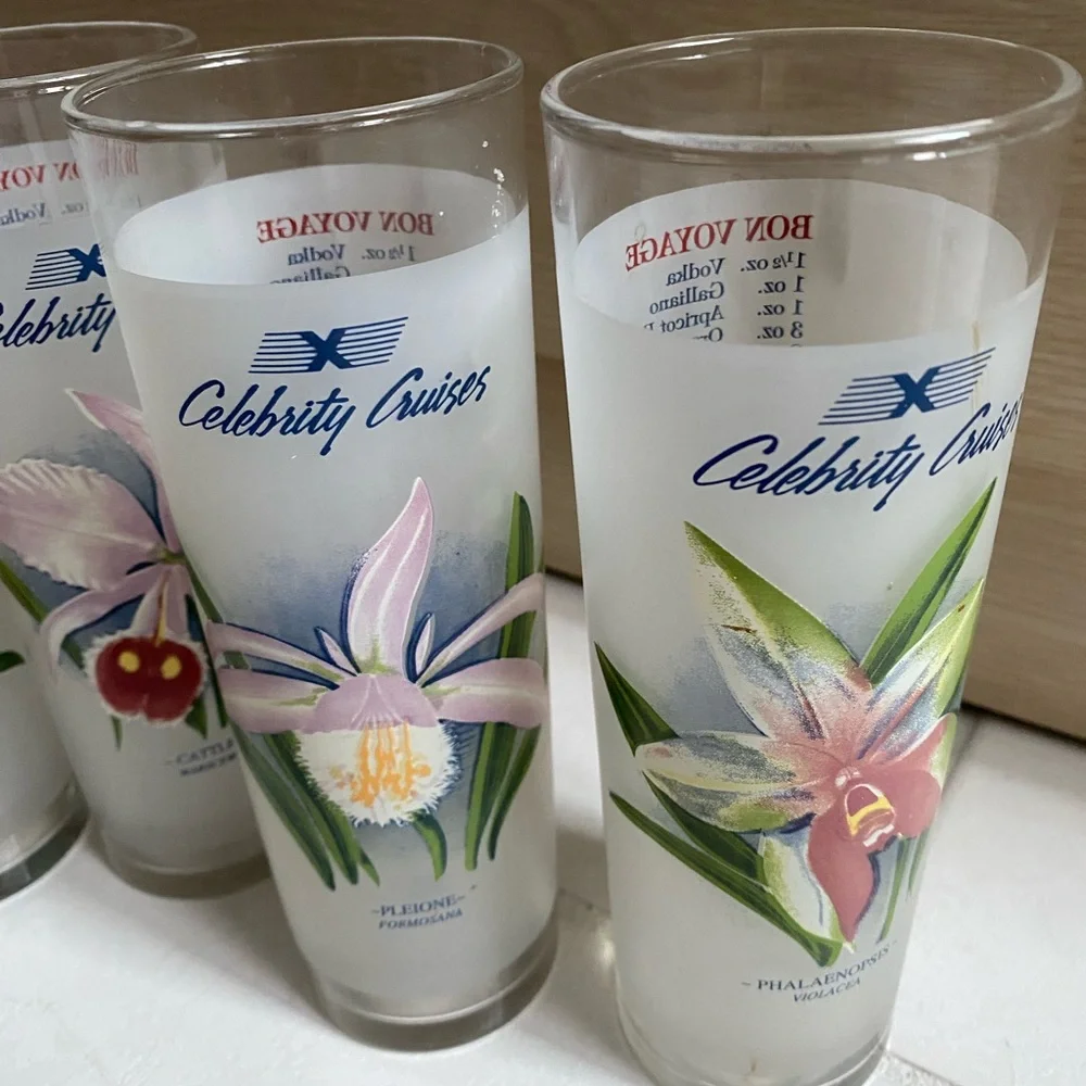 Set of 7 Vintage Celebrity Cruises Orchid Frosted Cocktail Glasses